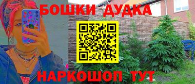 индика Балаково