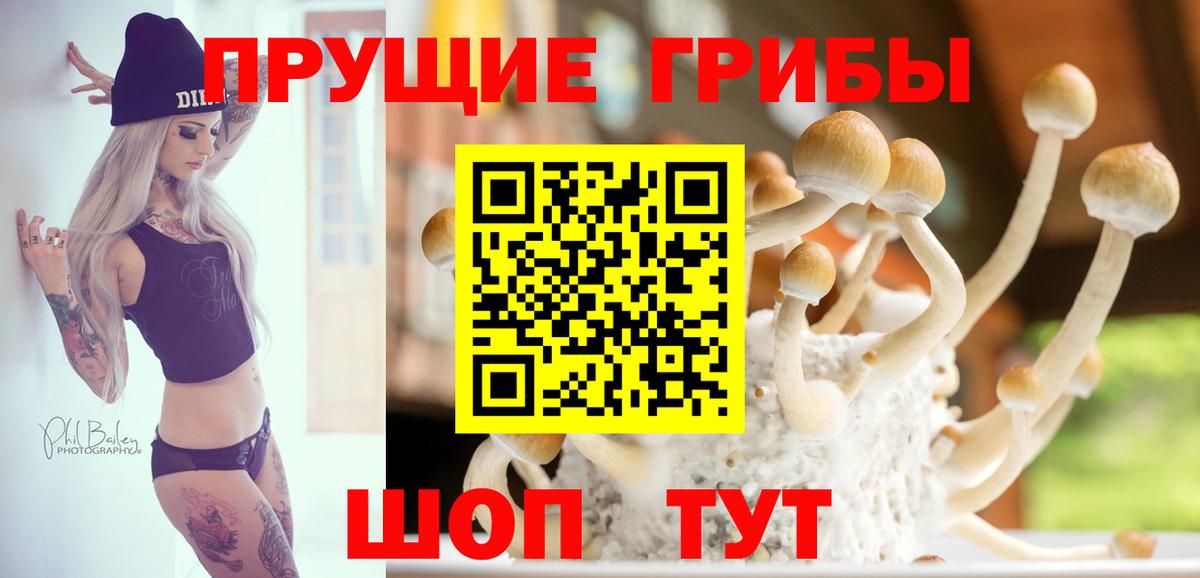 Псилоцибиновые грибы ЛСД Ефремов