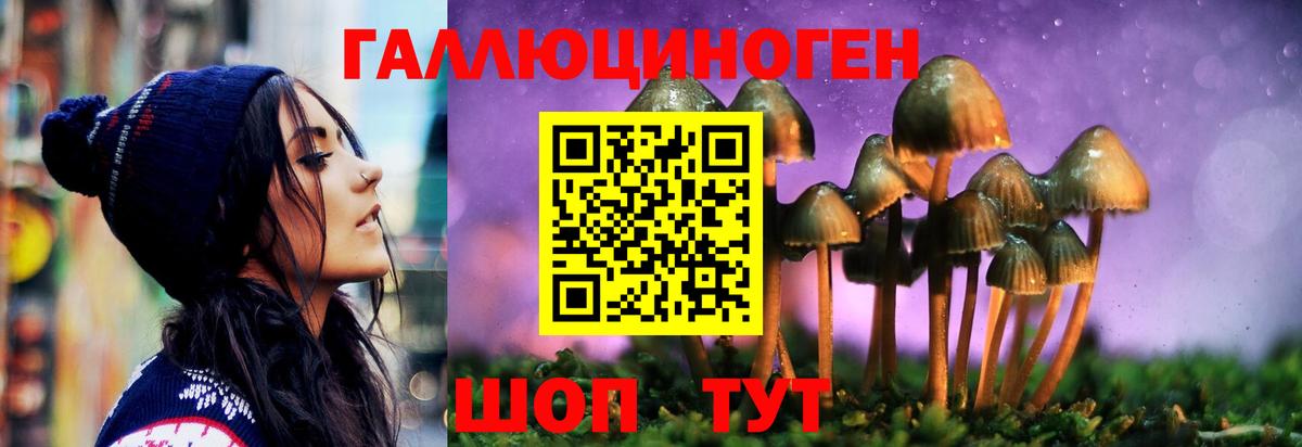 Псилоцибиновые грибы MAGIC MUSHROOMS  Псилоцибиновые грибы Psilocybine cubensis  Вход с VPN  Ефремов 